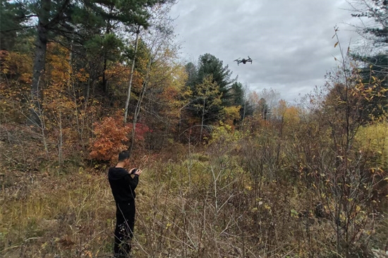 1761808182835111.jpg 泉林公司扎實開展松材線蟲病秋季普查工作(3).jpg