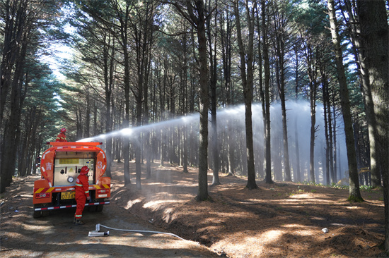 興參林場(chǎng)開展實(shí)戰(zhàn)化森林滅火演練（3）.jpg